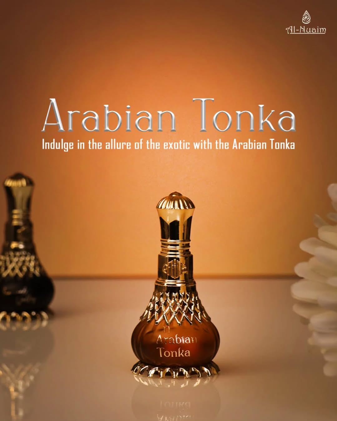 Arabian Tonka